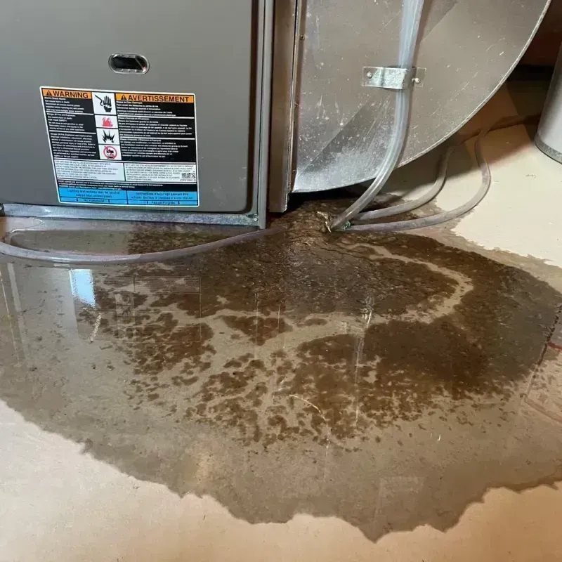 Appliance Leak Cleanup in Camden, AR